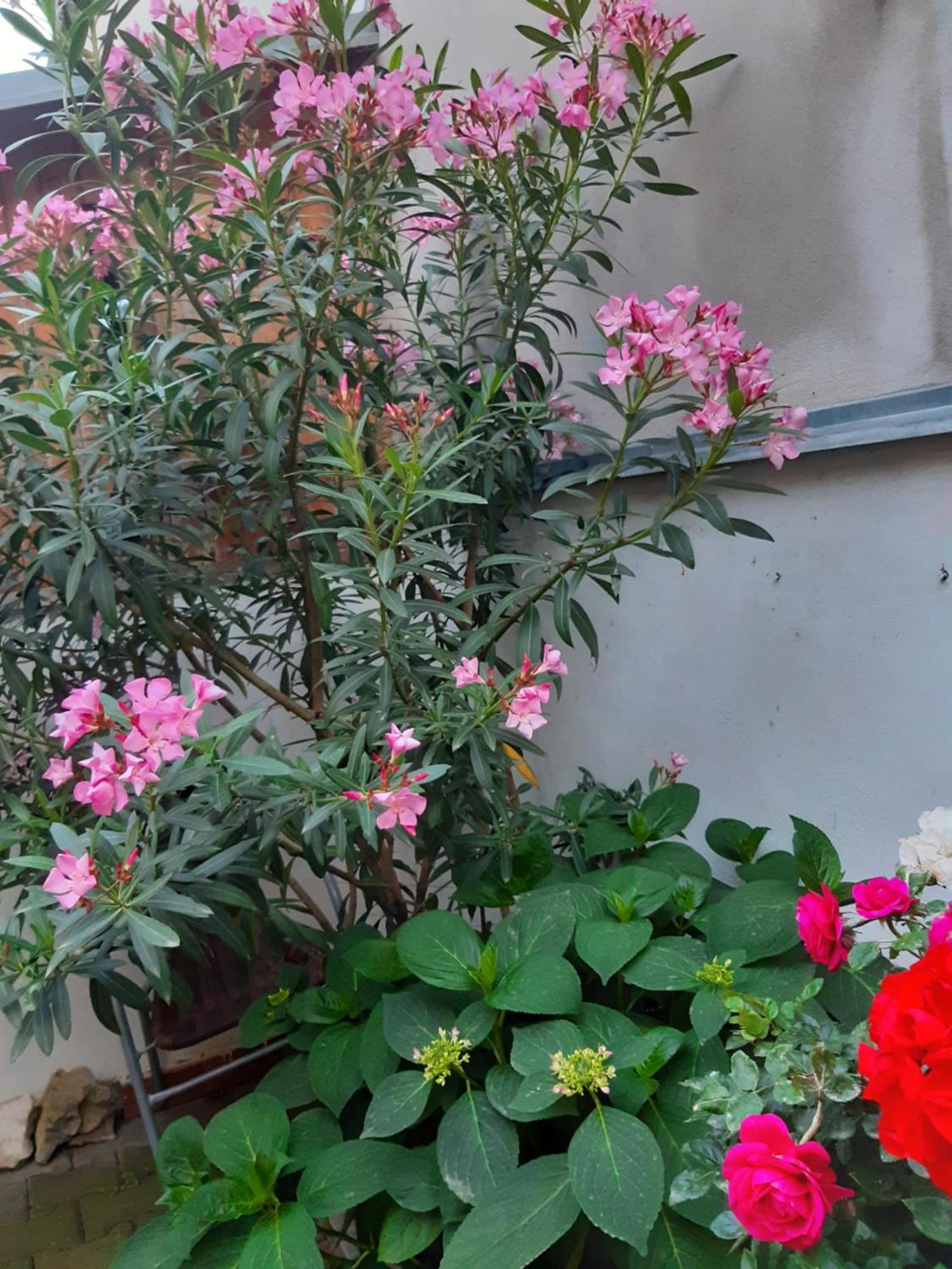 Ferienwohnung U Pani Malirky Valtice Exterior foto